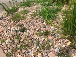 Landscaping Rocks throughout the lot