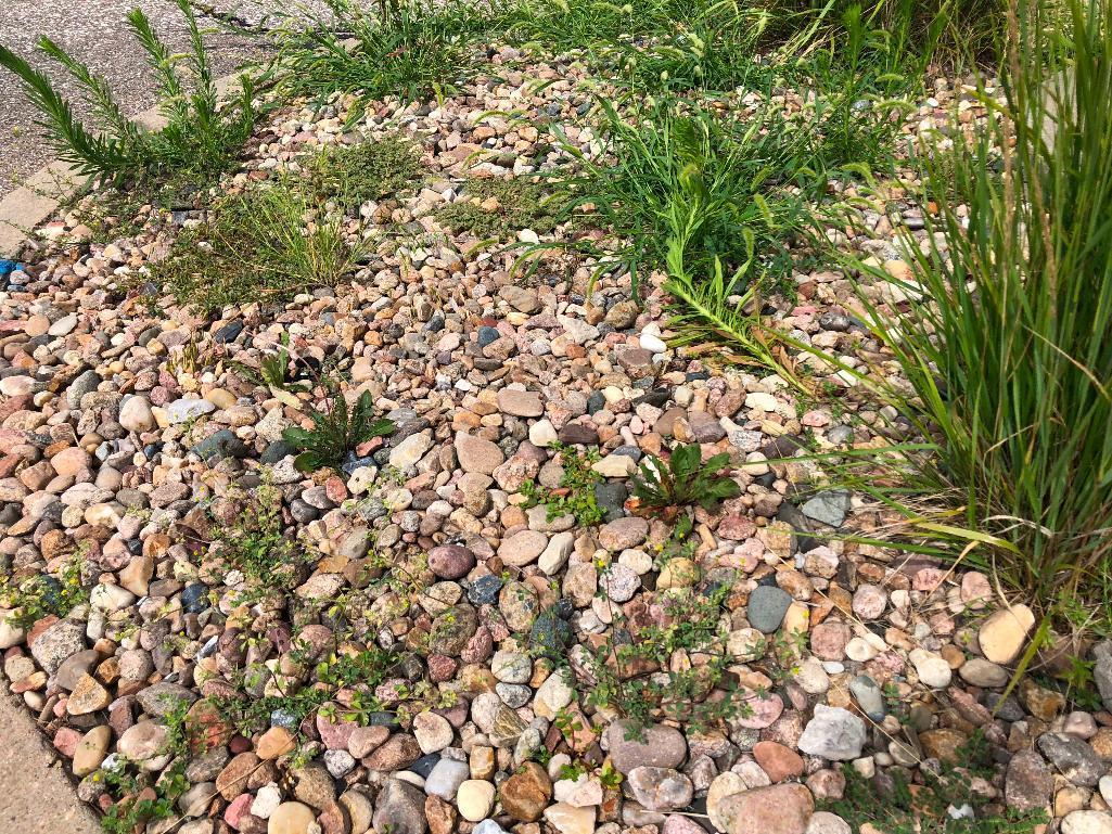 Landscaping Rocks throughout the lot