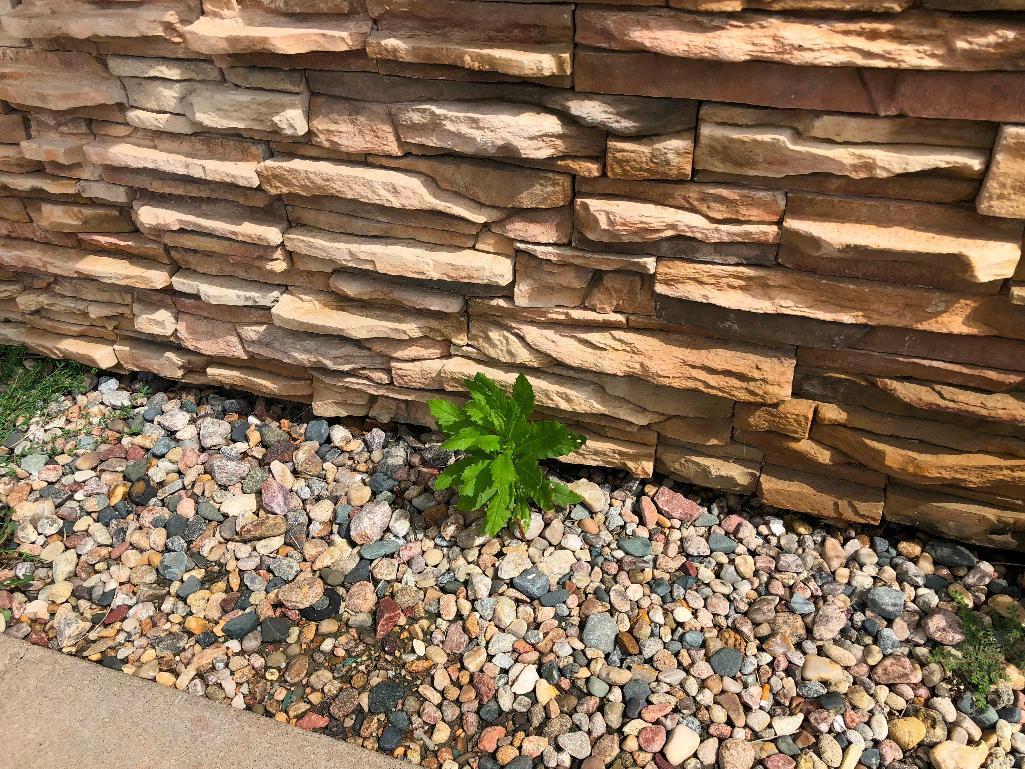 Landscaping Rocks throughout the lot