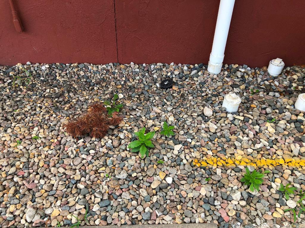 Landscaping Rocks throughout the lot