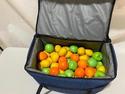Insulated Catering Carrier Bag w/ Some Artificial Fruit