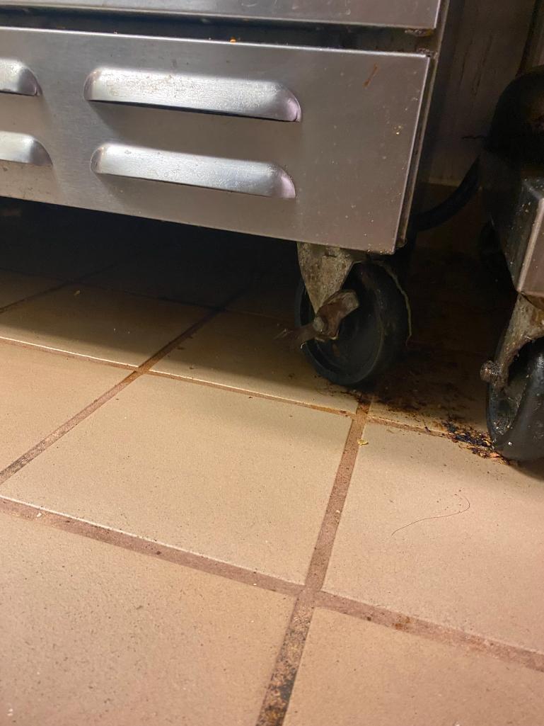 Wolf 6-Burner Gas Range / Oven on HD Casters