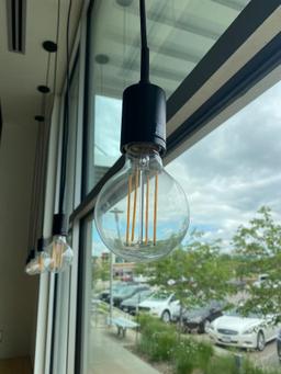 Pendant Lights, Edison Style, Buyer Responsible for Removal, Must Cap Wires