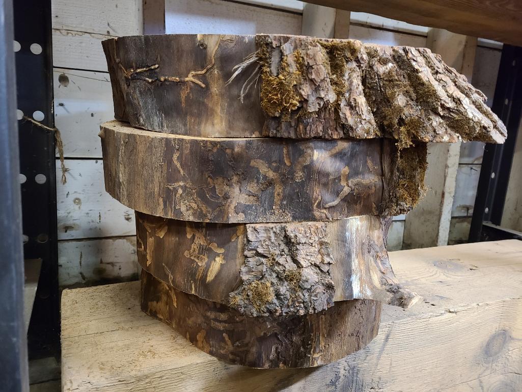 Four Kiln Dried Walnut Live Edge Slabs Approx. 14in