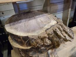 Four Kiln Dried Walnut Live Edge Slabs Approx. 14in