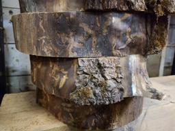Four Kiln Dried Walnut Live Edge Slabs Approx. 14in