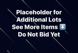 More Lots Coming Soon, Placeholder, DO NOT BID YET