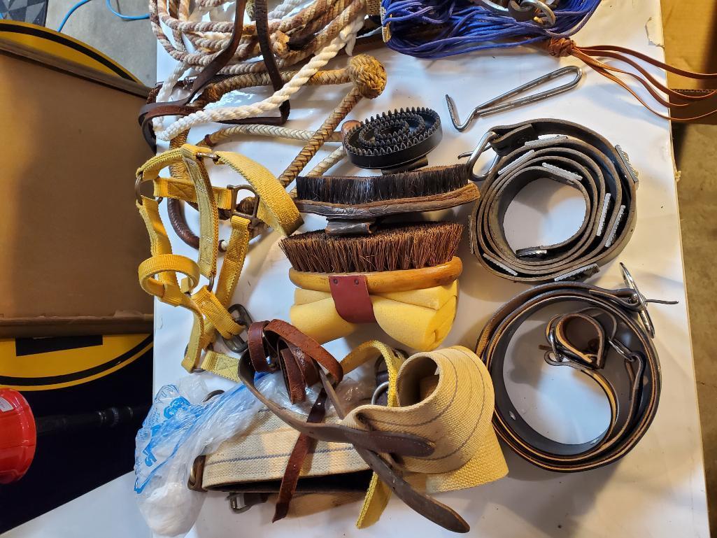 Misc Equestrian Supplies; Belts, Ropes, Brushes