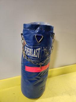 Used Everlast Heavy Bag