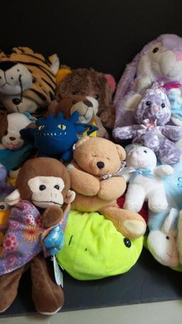 Stuffed Animal Family Looking for a new home