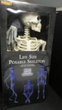60 Inch Skeleton,2 RIP Foam Displays 7 A pop up Coffin