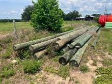 (16) UTILITY POLES, various lengths
