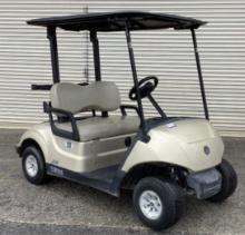 2019 Yamaha DR2E19 AC 48V Electric Golf Cart