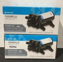 (2) Pentair Electric High Flow Washdown Pump Shurf
