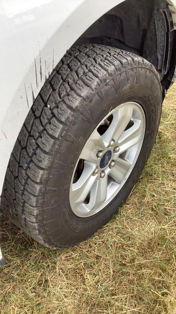 2019 Ford F-150 XLT 4X4