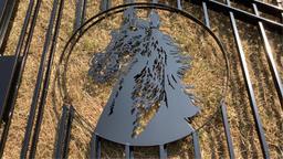20’ Metal Driveway Gate
