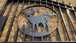 20’ Metal Driveway Gate