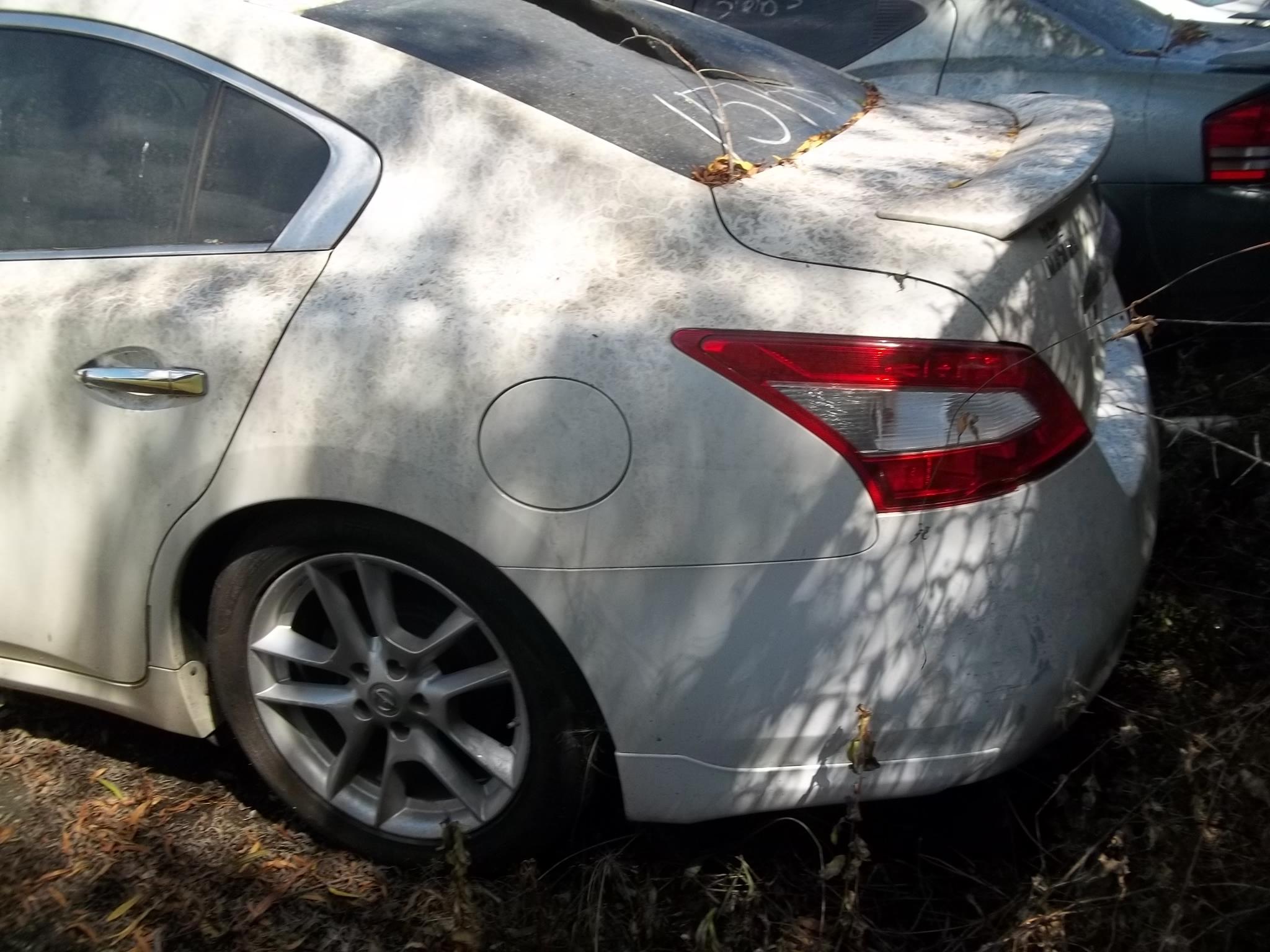 2001 NISSAN MAXIMA RECONSTRUCTED