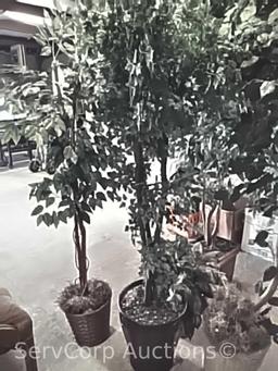 Lot of 4 various artificial trees & 1 artificial plant