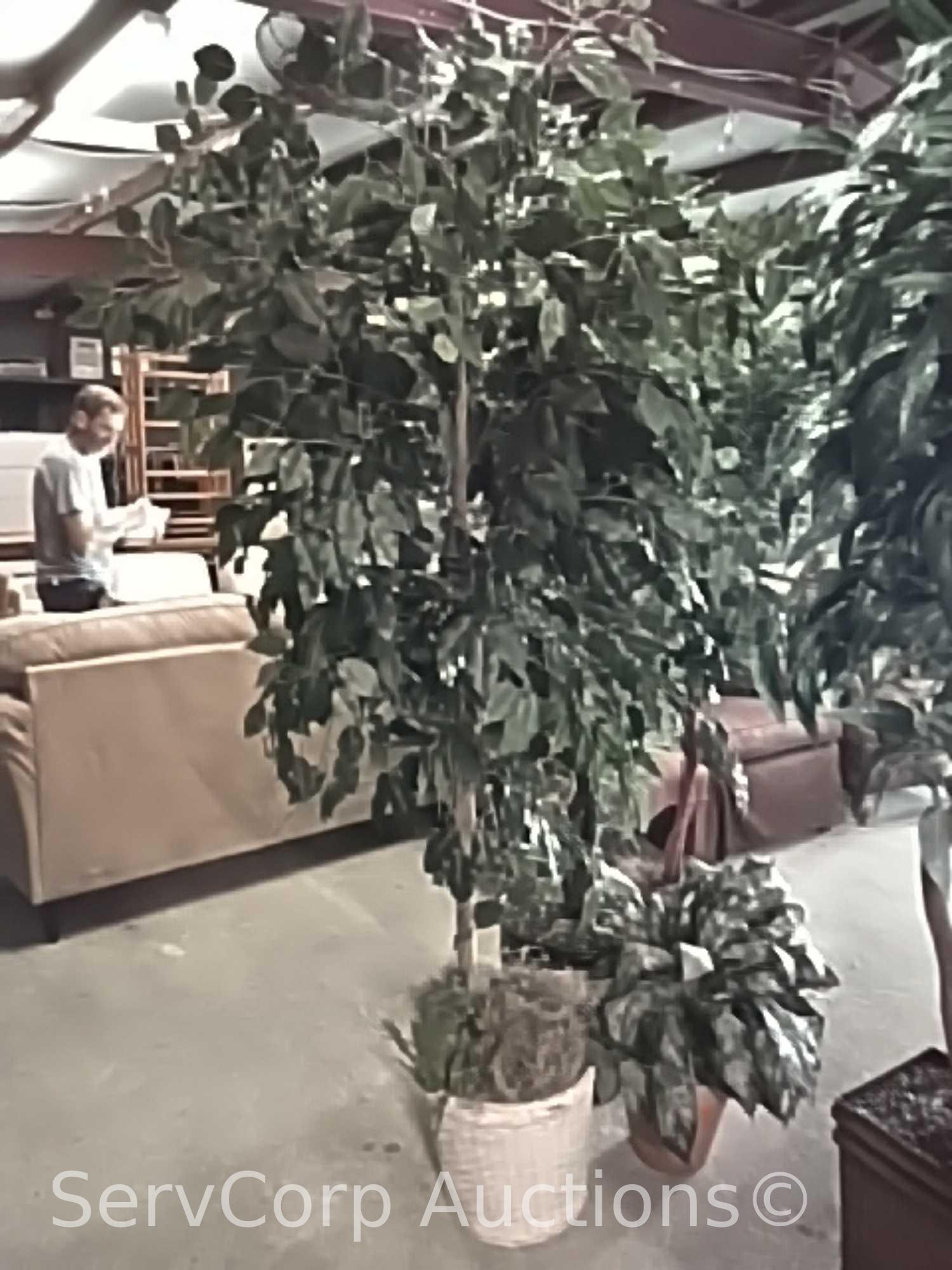 Lot of 4 various artificial trees & 1 artificial plant