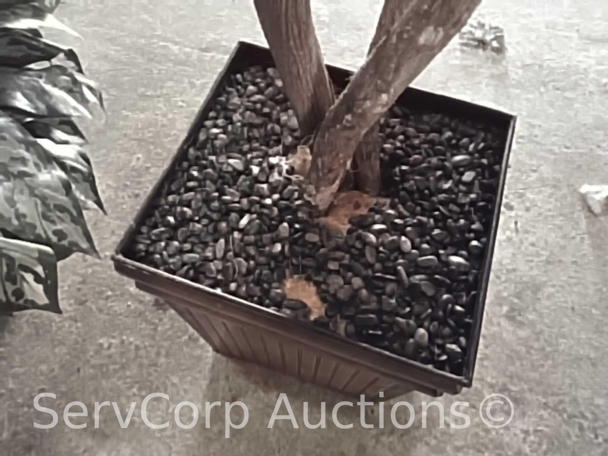 Lot of 4 various artificial trees & 1 artificial plant