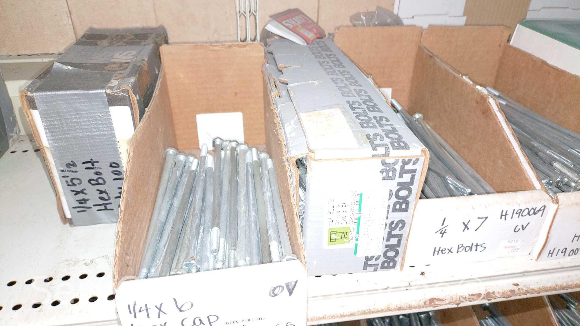 Lot Of Various Size Hex Cap Screws, Hex Bolt, Carriage Bolts, Lag Screws