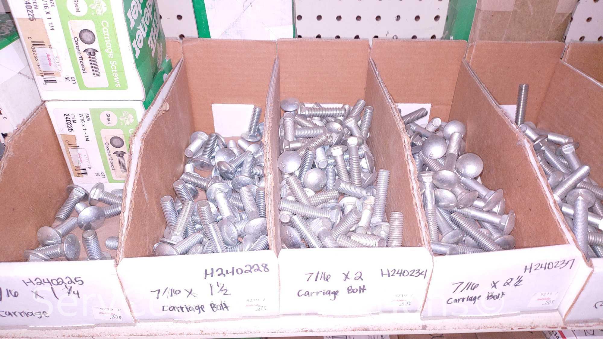 Lot Of Various Size Hex Cap Screws, Hex Bolt, Carriage Bolts, Lag Screws