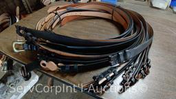 Lot on Shelf of Approximately 75 Belts & a Bag of Various Buckles: Bison, Buffalo, Shrunken Bull,