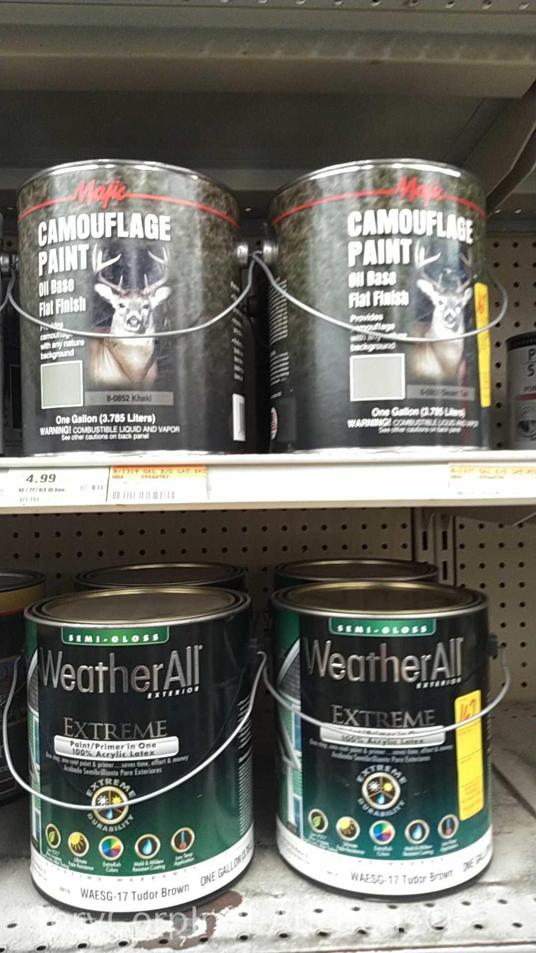 Lot of Various 1-Gallon Majic & Easy Care Semi-Gloss, Flat Wall, Floor Primer, Camouflage, Latex,