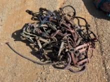 Assorted Halters and Lead Ropes