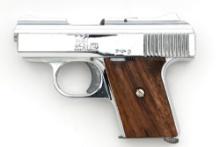 Raven MP-25 Semi-Automatic Pistol