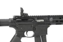 Smith & Wesson M & P 15-22 in .22 Long Rifle