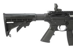 Smith & Wesson M & P 15-22 in .22 Long Rifle