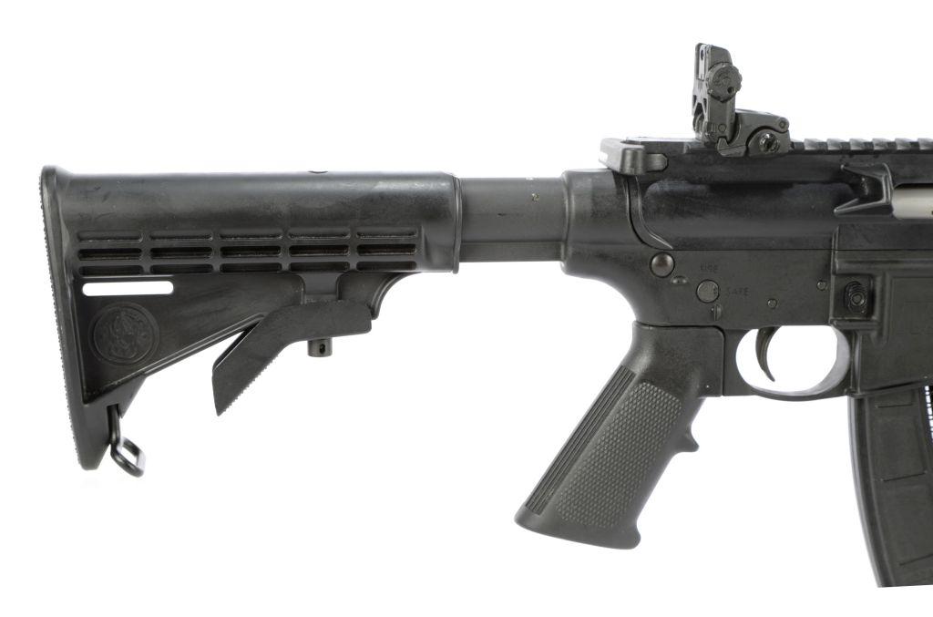 Smith & Wesson M & P 15-22 in .22 Long Rifle