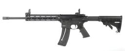 Smith & Wesson M & P 15-22 in .22 Long Rifle