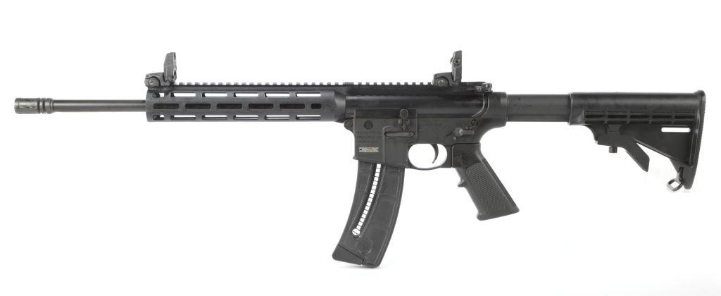 Smith & Wesson M & P 15-22 in .22 Long Rifle