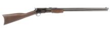 Taurus C45 in .45 Colt