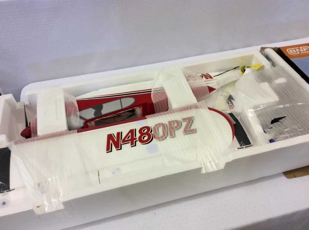 BNF Park Zone Sport Cub RC Flying