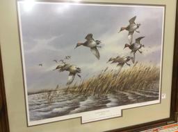 Lg. Framed Duck Print "Rough Water Cans" By