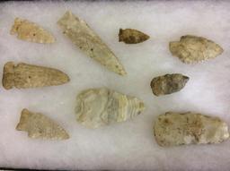 Collection of 9 Arrowheads (Showcase Not Included)