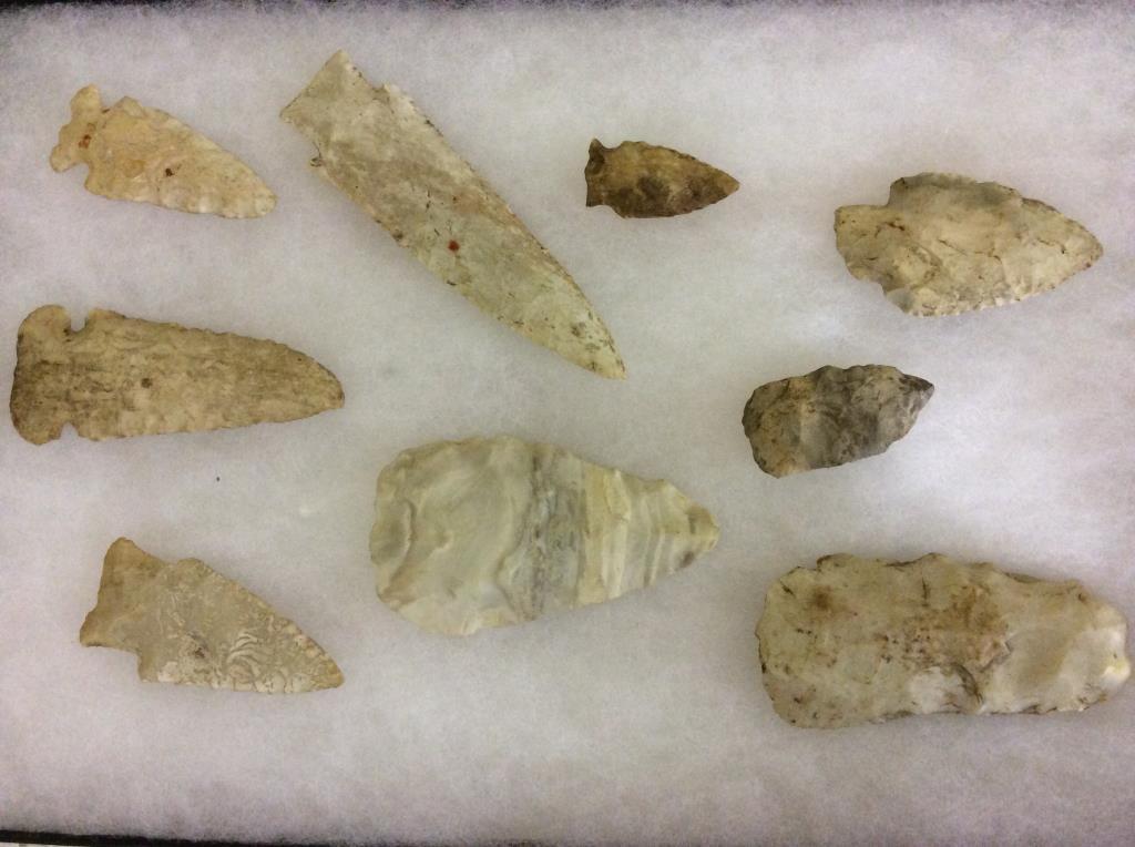 Collection of 9 Arrowheads (Showcase Not Included)