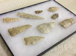 Collection of 9 Arrowheads (Showcase Not Included)