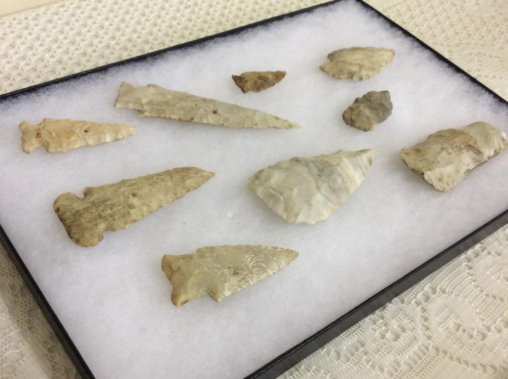 Collection of 9 Arrowheads (Showcase Not Included)