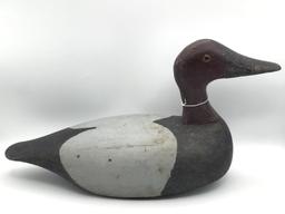 Wisconsin Canvasback