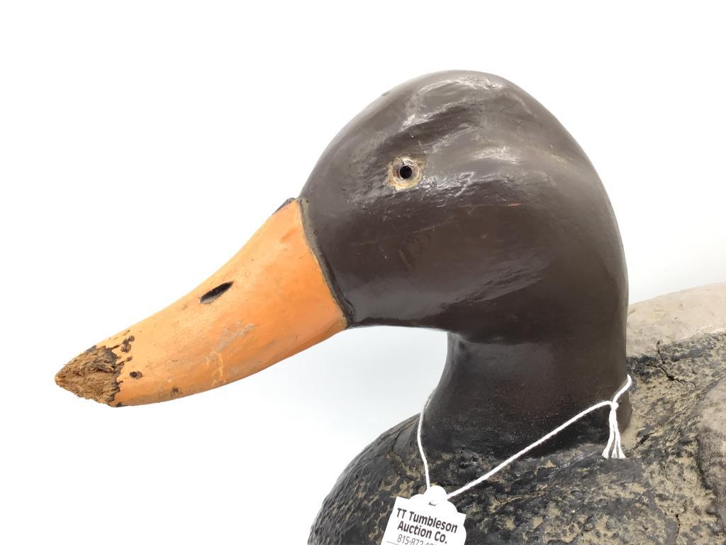 Wisconsin Decoy (Some Damage on Tip of Bill)