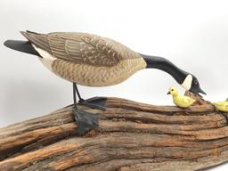 Sm. Canada Geese Carving on Driftwood