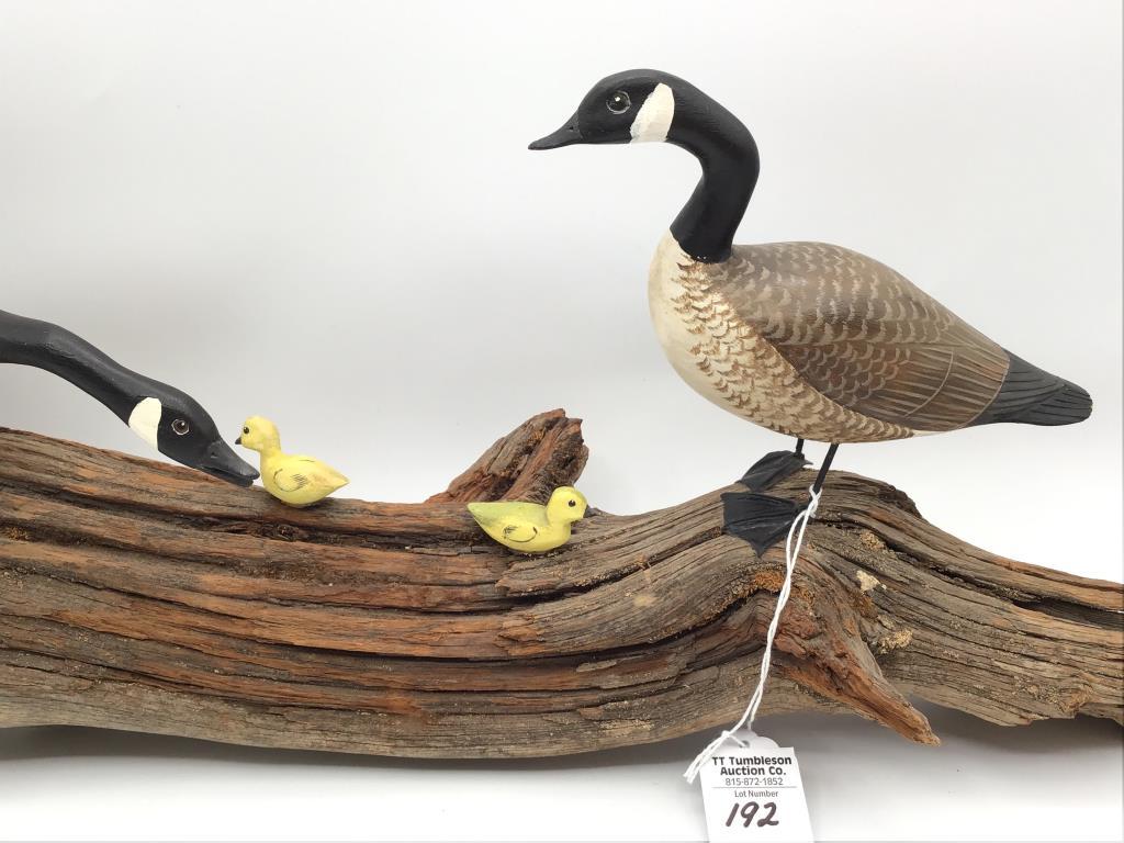 Sm. Canada Geese Carving on Driftwood