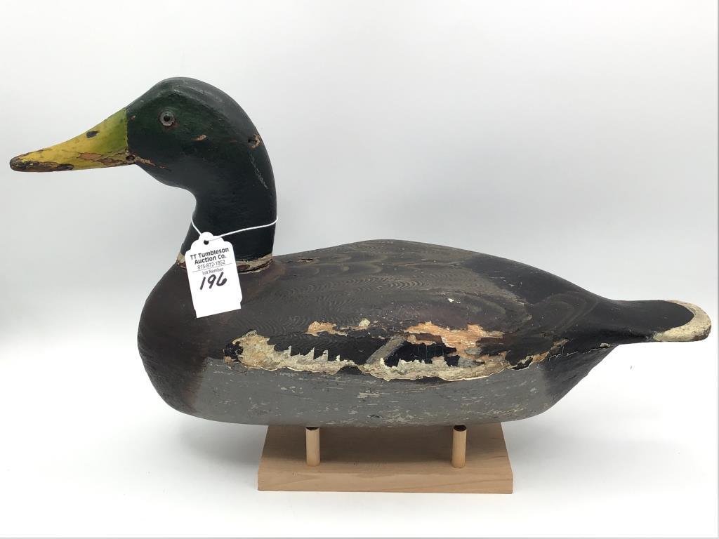 Canvasback Re-painted by Mario Piolotti-