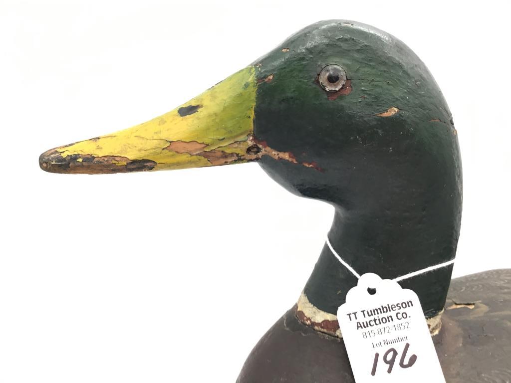 Canvasback Re-painted by Mario Piolotti-