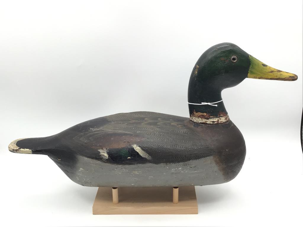 Canvasback Re-painted by Mario Piolotti-